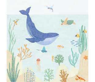 CASELIO_105666006_1_web