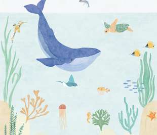 CASELIO_105666002_web