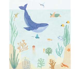 CASELIO_105666001_1_web