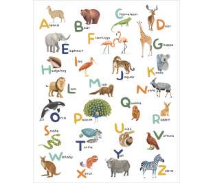 CASELIO_105857005_1_web