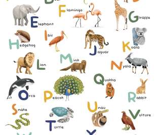 CASELIO_105857005_web