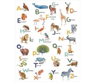 CASELIO_105672305_1_web