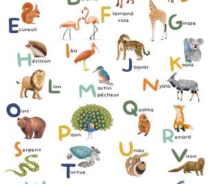 CASELIO_105672305_web