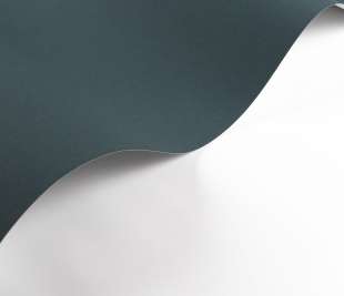 CASADECO_200336868.1