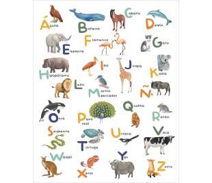 CASELIO_105863405_1_web