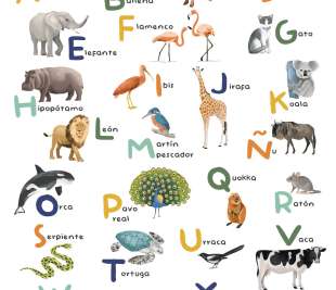 CASELIO_105863405_web