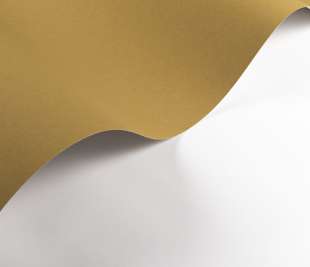 CASADECO_200337474.1