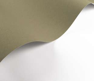 CASADECO_200337606.1