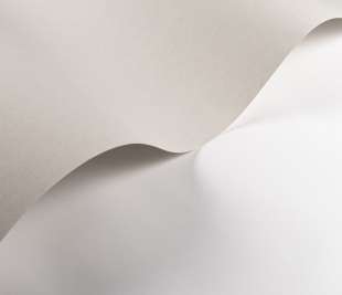 CASADECO_200339119.1