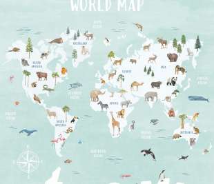 CASELIO_105766306_web