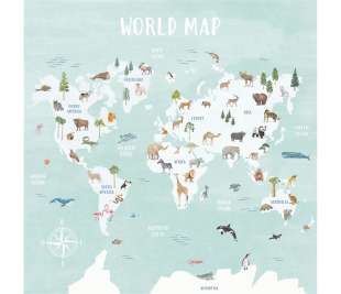 CASELIO_105766306_1_web