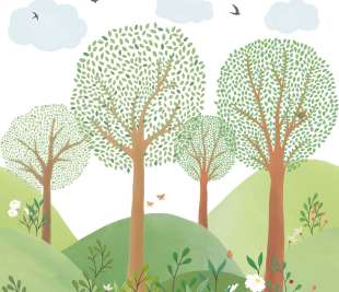 CASELIO_105803206_web