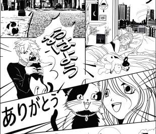 CASELIO_105849005_web