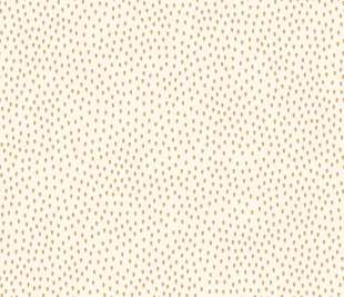 CASELIO_103162057_web