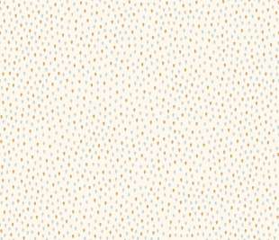 CASELIO_103160689_web