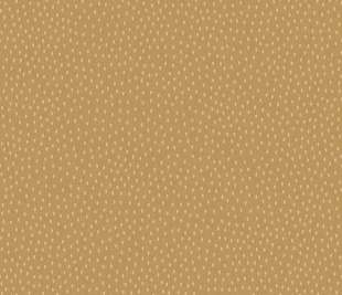 CASELIO_103162518_web