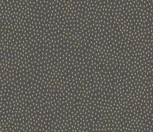 CASELIO_103169975_web