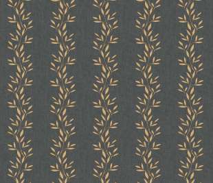 CASELIO_103189929_web