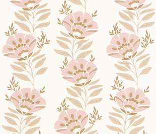 CASELIO_103214176_1_web