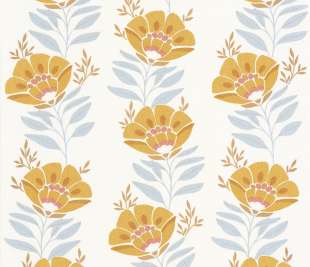 CASELIO_103212266_1_web