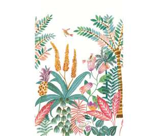 CASELIO_103207604_2_web