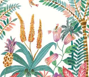 CASELIO_103207604_web