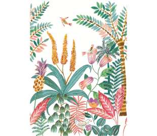 CASELIO_103207603_1_web