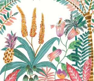 CASELIO_103207603_web