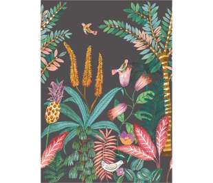 CASELIO_103207903_2_web