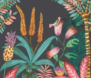 CASELIO_103207903_web