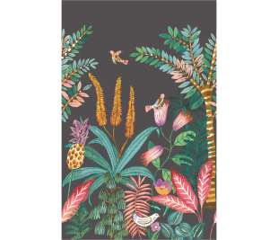 CASELIO_103207904_2_web