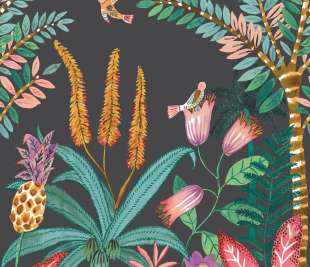 CASELIO_103207904_web