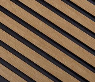 L0206_dąb-klasyczny_1_web