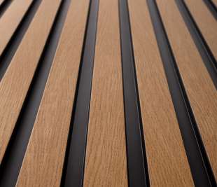 L0206_dąb-klasyczny_2_web