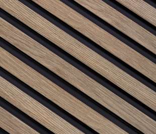 L0203_dąb-szary_1_web