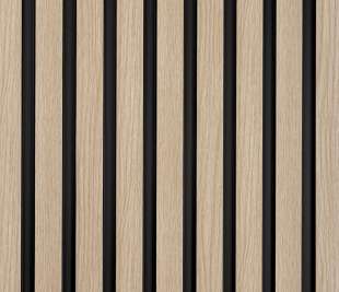 L0202_dąb-jasny_3_web