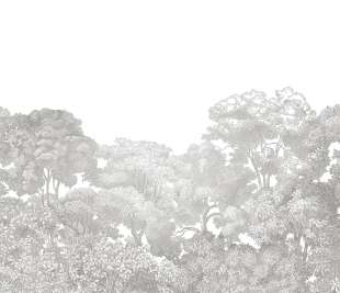 R13054_Rebel-Walls-3-image-1_web