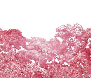 R13056_Rebel-Walls-3-image-1_web