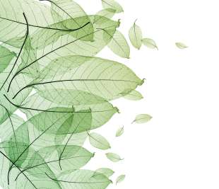 R12201_Rebel-Walls-1-image-1_web