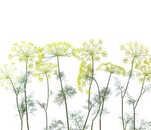 R12951_Rebel-Walls-3-image-1_web