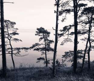 R13021_Rebel-Walls-3-image-1_web