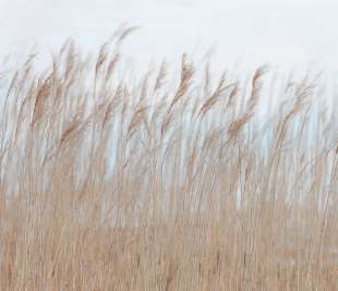 R13602_Rebel-Walls-217-Image1_web