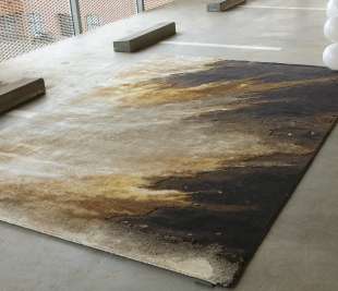 FIRE FLAMBOYANT_1_web