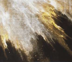 FIRE FLAMBOYANT_3_web