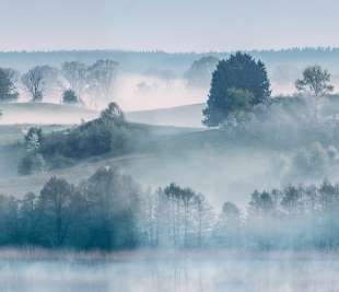 R15291_Rebel-Walls-9-image1_web