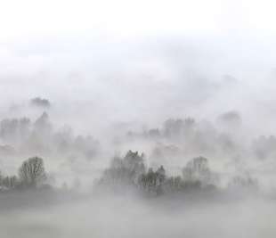 R15301_Rebel-Walls-9-image1_web