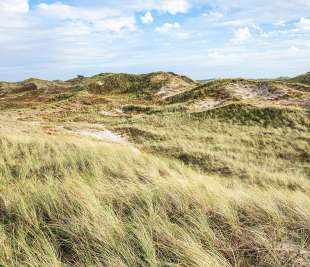 R16511_The-Wind_Rebel-Walls-13-image1_web