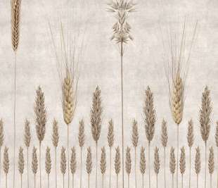 R16561_Rebel-Walls-219-image1_web