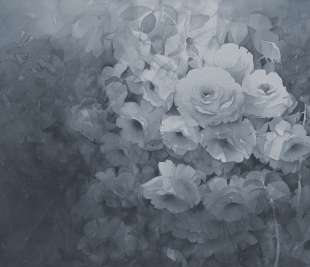 R17072_Harmony_Rebel-Walls-120_image1_web