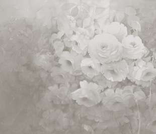 R17073_Harmony-Gray_Rebel-Walls-15-image1_web